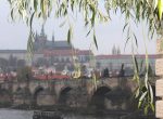 Czech Republic / World