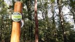 Column