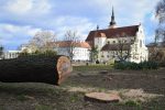 Brno