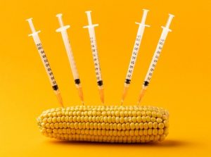 In Brief: Study Reveals What Czechs Think About Genetically Modified Food