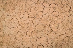 High Temperatures and Erratic Rainfall Caused 2022 Droughts Around Czech Republic