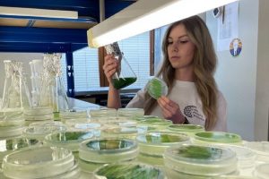 Algae with Artificial Intelligence Could Clean Wastewater in the Future