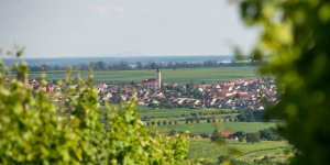 Mendel University’s INTELLAGES Project Aims To Provide Universal Access To Digital Services In Rural Areas