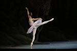 Sleeping Beauty Returns, Featuring a Performance By Prima Ballerina Anastasia Matviienko