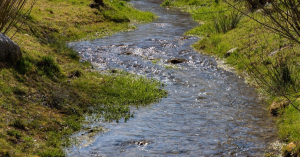 Mendel University Launches Vocational Education Center Focused On Water Management