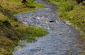 Mendel University Launches Vocational Education Center Focused On Water Management