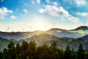 Czech Republic Has Already Exceeded 2023 Budget For Natural Resources, Say Greenpeace