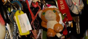Prague Lost Property Office Records Sharp Increase In Misplaced Items From Last Year