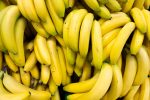 Police Find 646 Kg of Ecuadorian Cocaine In Albert Distribution Warehouse Near Prague
