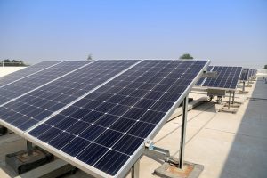 Czech MEPs Divided On EU Renewable Energy Directive