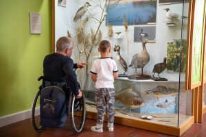South Moravia Turns To Wheelchair Users To Test Accessibility in Tourist Sites