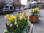 Brno