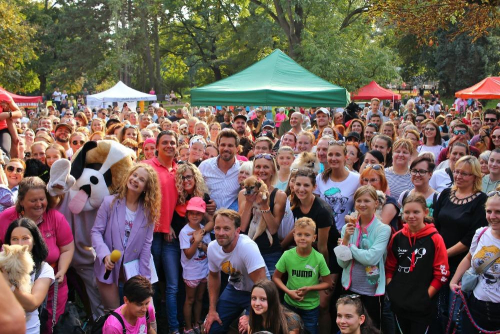 CREDIT - 'Let's Run And Help The Shelters'