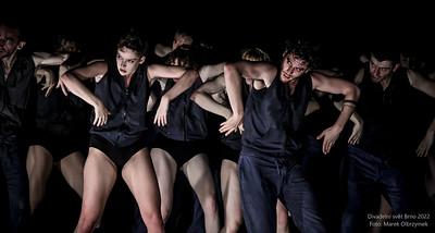 world theatre festival (3)